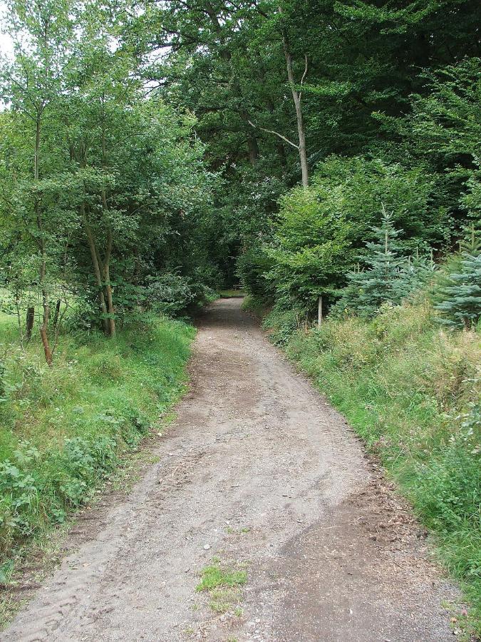 Ferienwohnungen Vulkaneifel Nickenich Luaran gambar